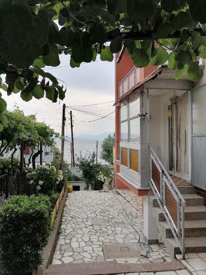 Villa Shine Struga Esterno foto